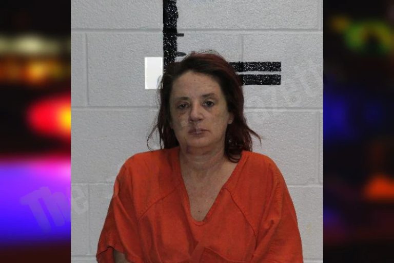 Shannon Guffanti mugshot – Murray County , Georgia Shannon Guffanti
