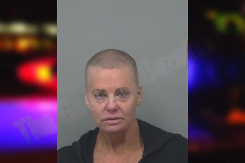 Shannon Hansen mugshot – Gwinnett County , Georgia Shannon Hansen mugshot