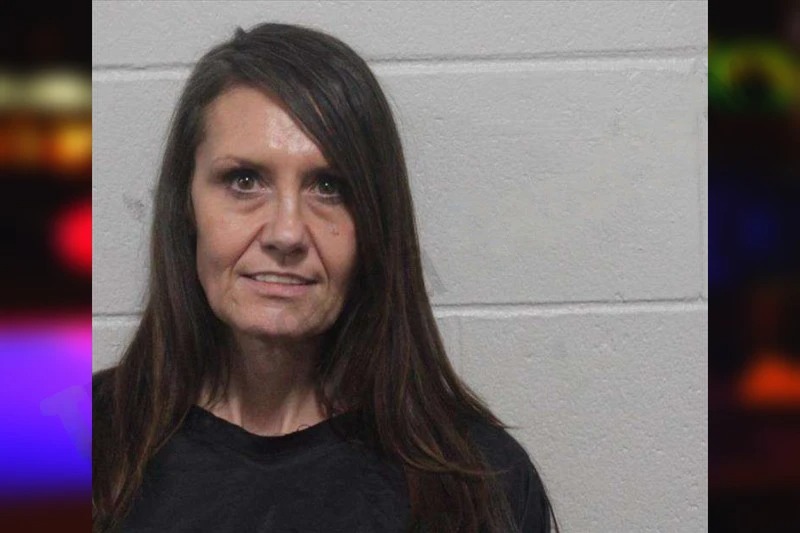 Shannon Lewis Mugshots