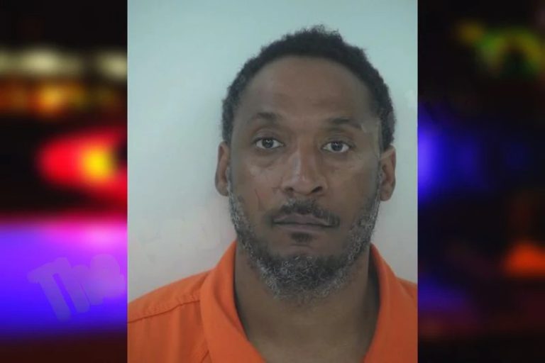 Shannon Martin mugshot – Fayette County , Georgia Shannon Martin