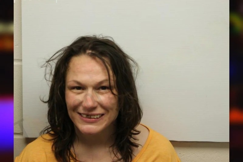 Shannon Todd Mugshots