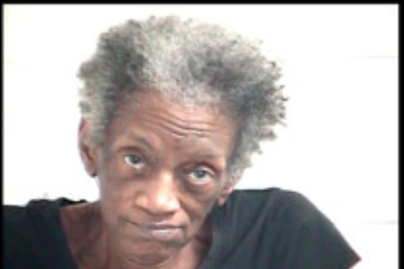 Sharntivia Hogans mugshot – Henry County , Georgia Sharntivia Hogans mugshot