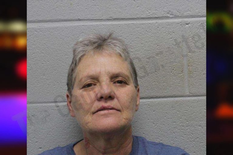 Sheila Holden mugshot – Harris County , Georgia Sheila Holden