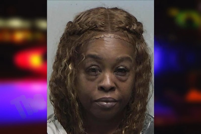 Sheila Lyons Mugshots