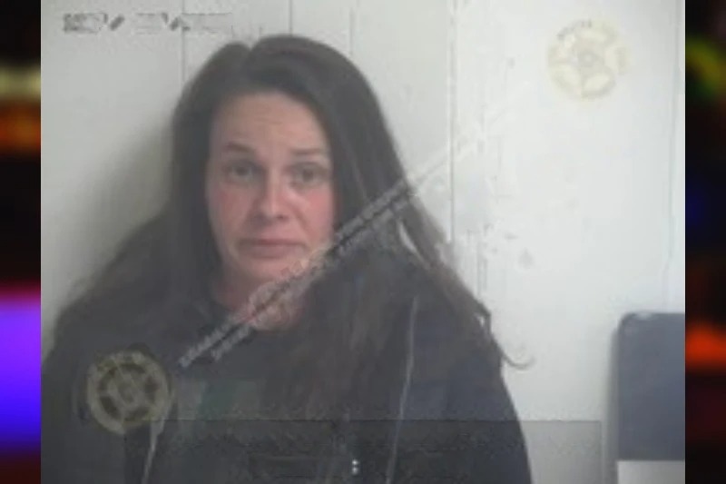 Shelby Evans Mugshots