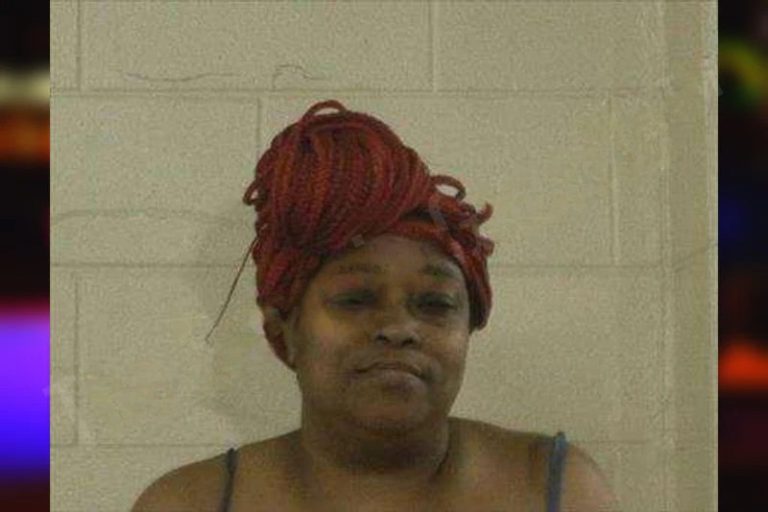 Sheldonna Johnson mugshot – Liberty County , Georgia Sheldonna Johnson