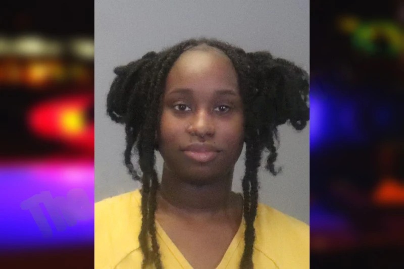 Shelisia Cobb mugshot – Muscogee County , Georgia Shelisia Cobb mugshot