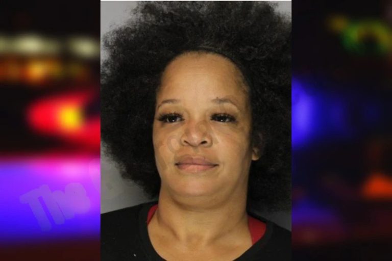 Shemecia Cox mugshot – Hall County , Georgia Shemecia Cox