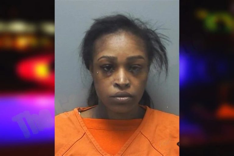 Shemeka Roberts mugshot – Cherokee County , Georgia Shemeka Roberts