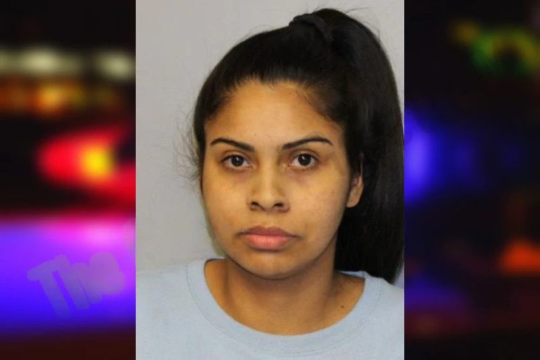 Sherlyn Flores-Galo mugshot – Hall County , Georgia Sherlyn Flores-Galo