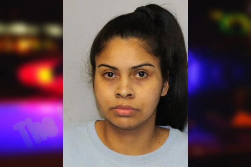 Sherlyn Flores-Galo mugshot – Hall County , Georgia Sherlyn Flores-Galo mugshot