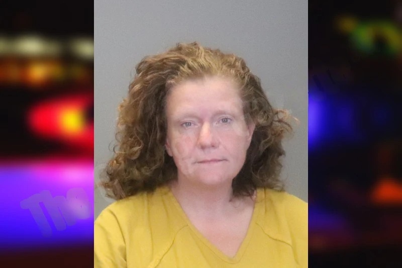 Sherry Crook Mugshots