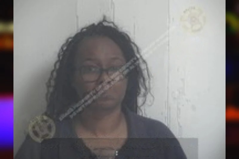 Sheva Sanders Mugshots