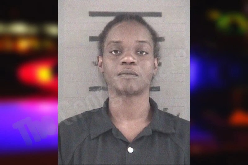 Shontesa Hunt mugshot