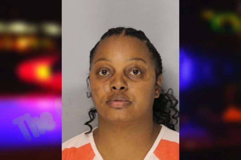Shytavia Jenkins mugshot – Hall County , Georgia Shytavia Jenkins