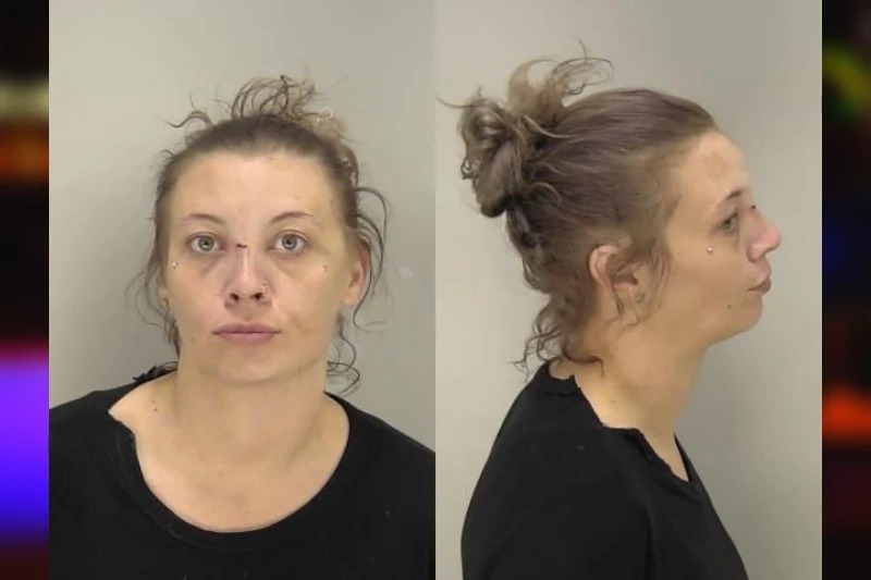 Sierra Meeks Mugshots