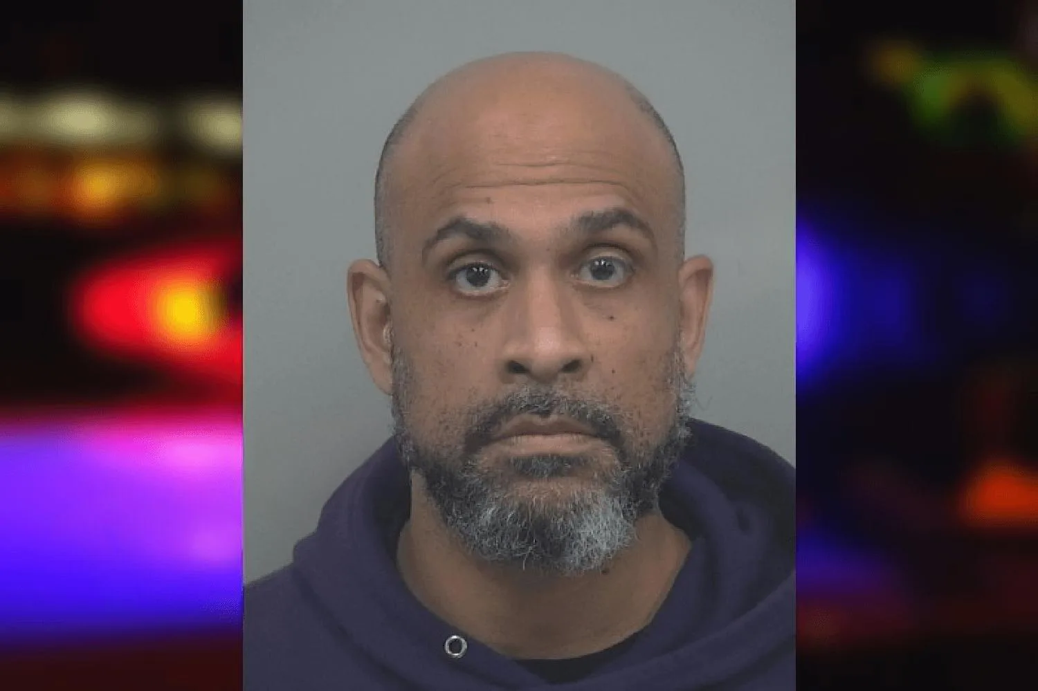 Simone Simon mugshot