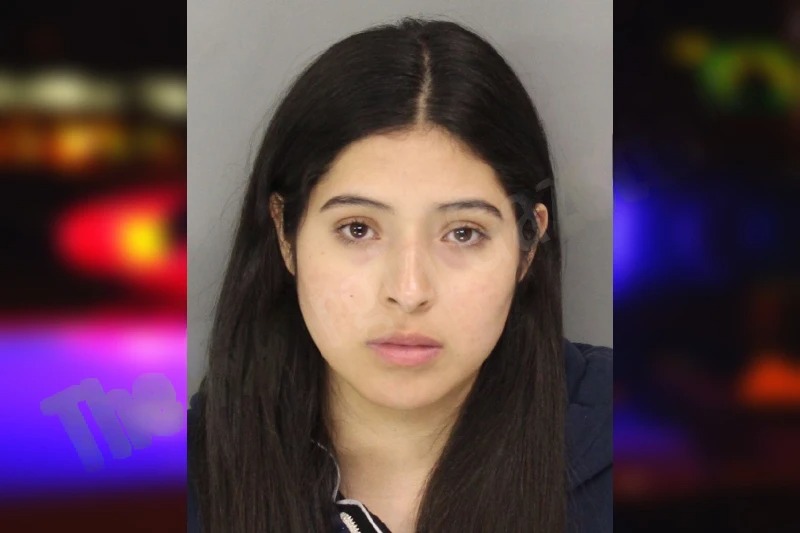 Sofia Real mugshot β Cobb County , Georgia Sofia Real mugshot