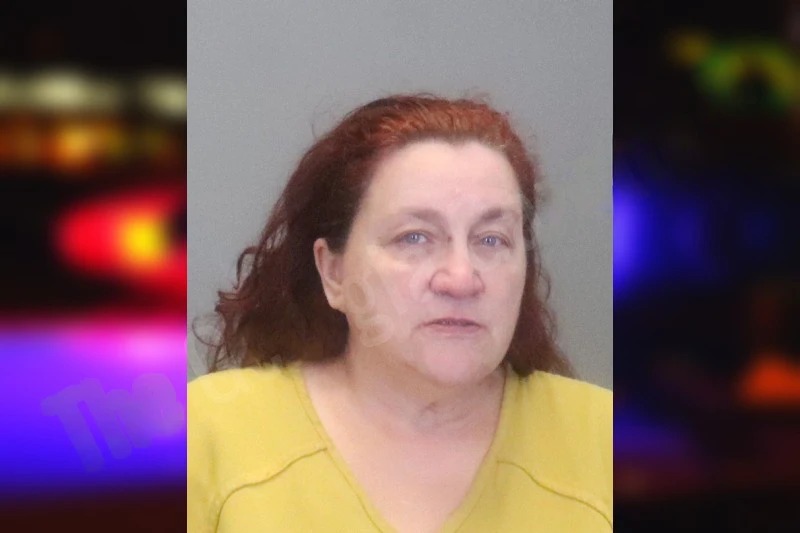 Sondra McHone mugshot