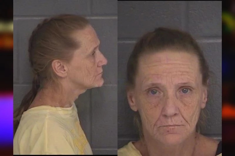 Sonya Wilcox mugshot – Barrow County , Georgia Sonya Wilcox mugshot