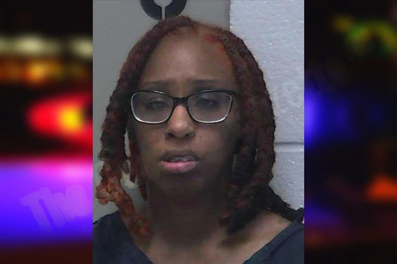 Spenecia Fleming mugshot – Gilmer County , Georgia Spenecia Fleming mugshot