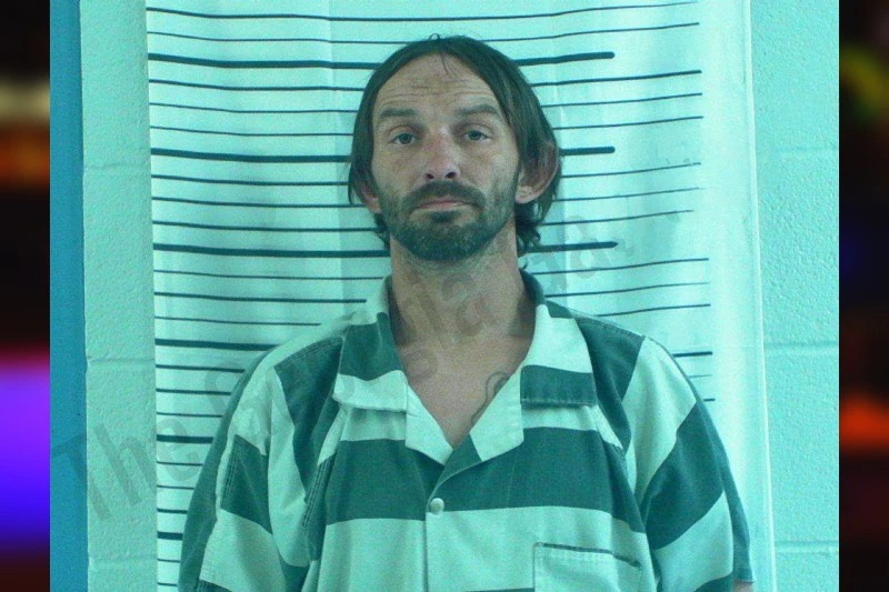 Stacey Owen Mugshots