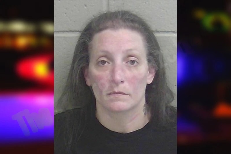 Stacey Willis Mugshots