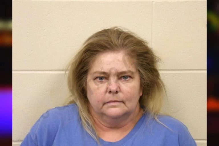 Stacy Anderson mugshot – Bulloch County , Georgia Stacy Anderson