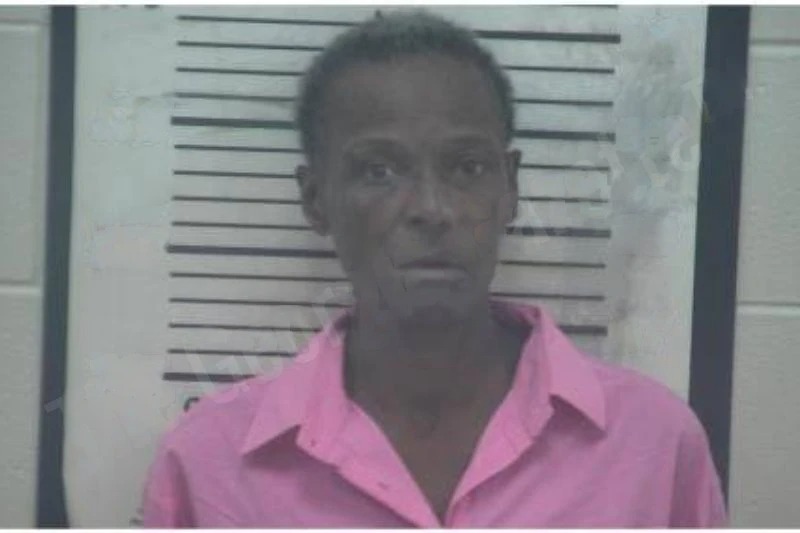 Stephanie Adams mugshot – Coffee County , Georgia Stephanie Adams mugshot