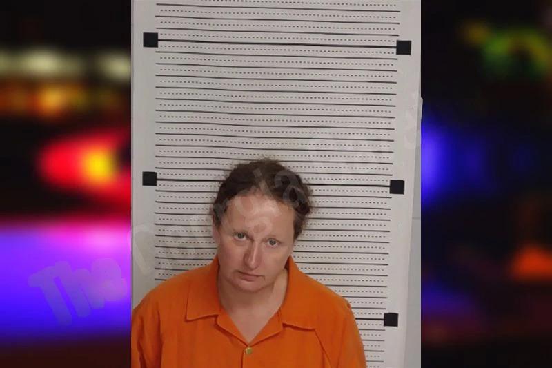 Stephanie Boze mugshot