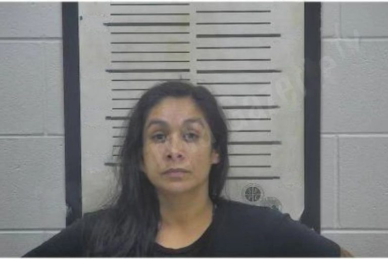 Stephanie Castillo mugshot – Coffee County , Georgia Stephanie Castillo