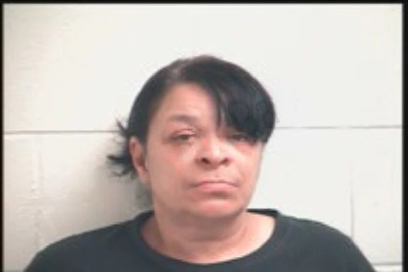 Stephanie McPherson mugshot