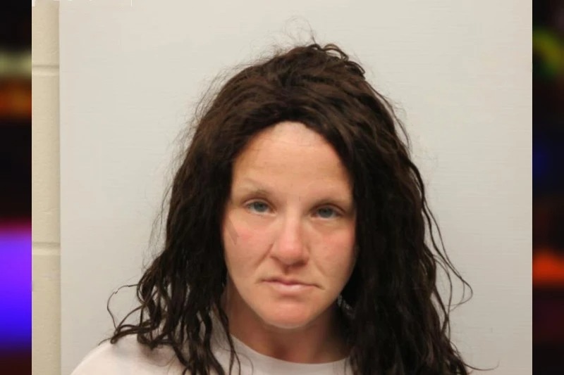 Stephanie Nikolais Mugshots