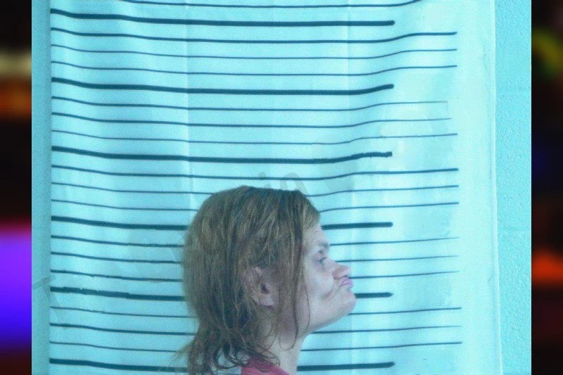 Stephanie Sweeting Mugshots