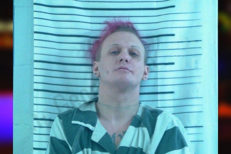 Steven Chalfant mugshot