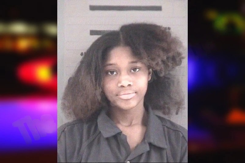 Stevie Scott Mugshots