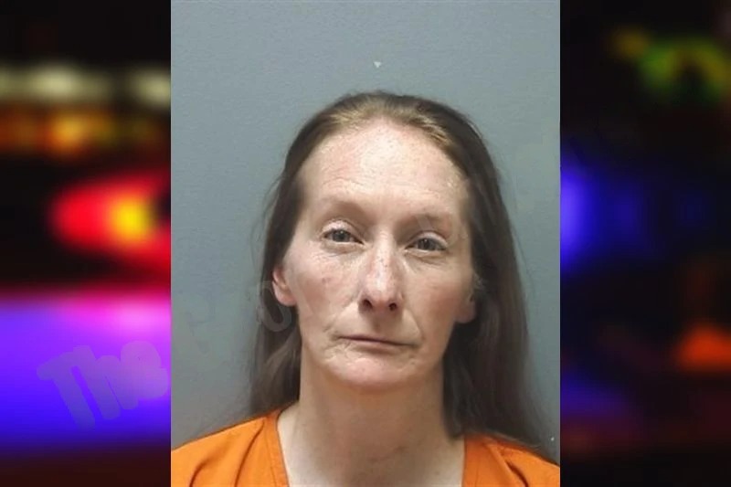 Sunshine Angelo mugshot – Cherokee County , Georgia Sunshine Angelo mugshot