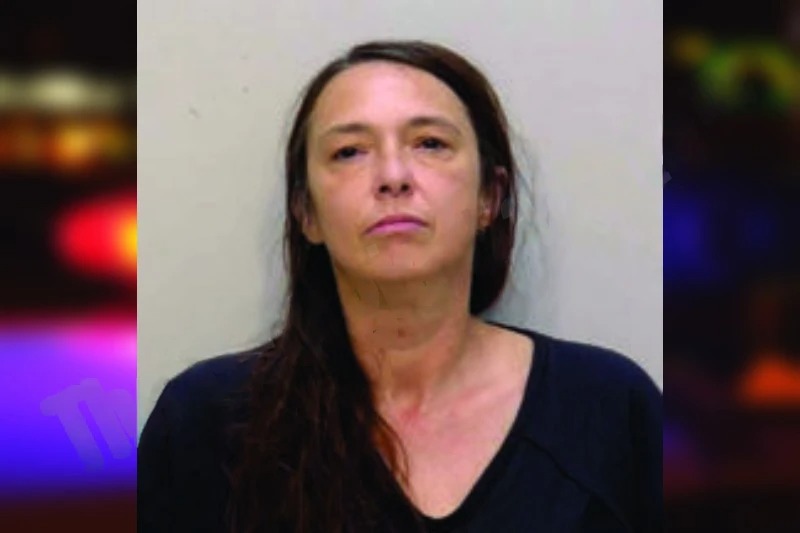 Susan Holcomb Mugshots