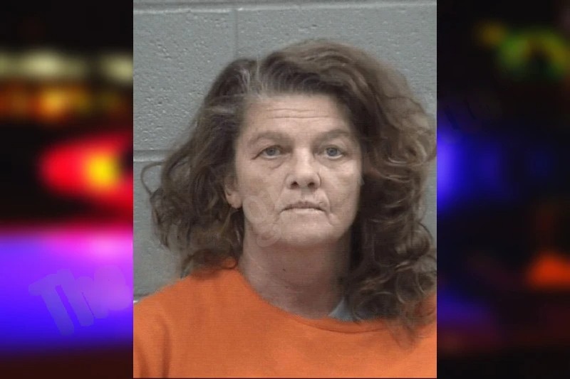 Susan Layton mugshot