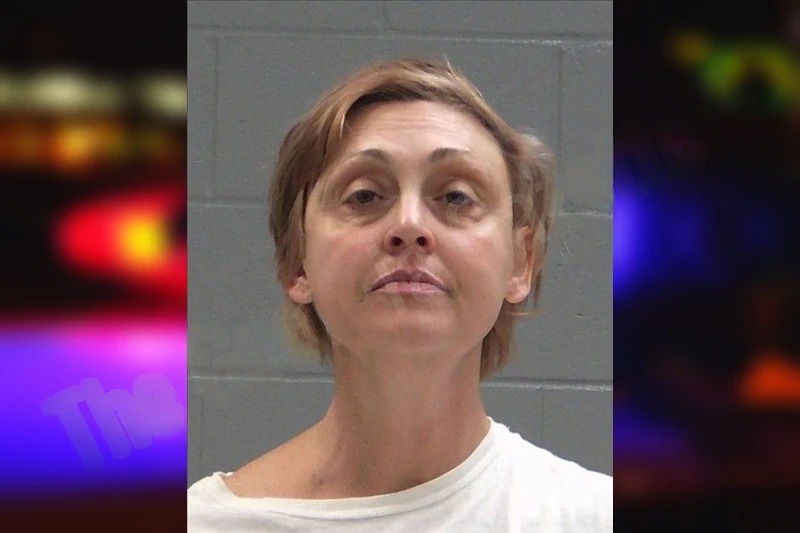 Suzanne Barnes Mugshots