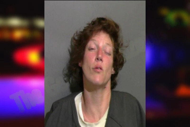 Sybrina Chaney Mugshots