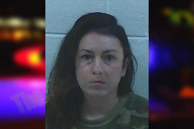 Sydney Lane Mugshots