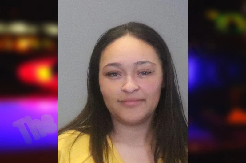 Sydni Robinson mugshot