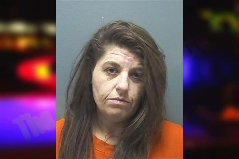 Tabatha Hamby Mugshots