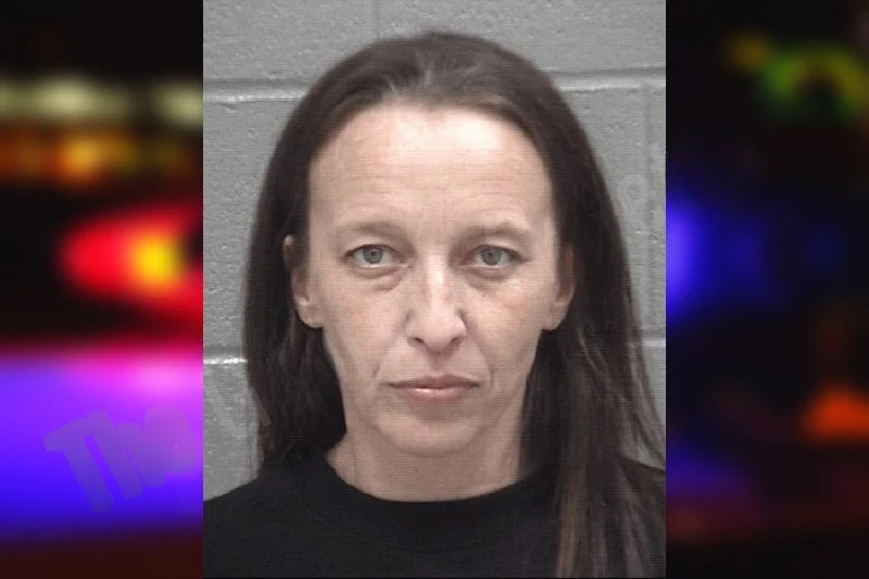 Tabitha Thompson Mugshots