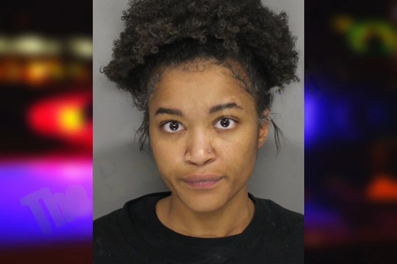 Taevia Lewis mugshot – Cobb County , Georgia Taevia Lewis mugshot