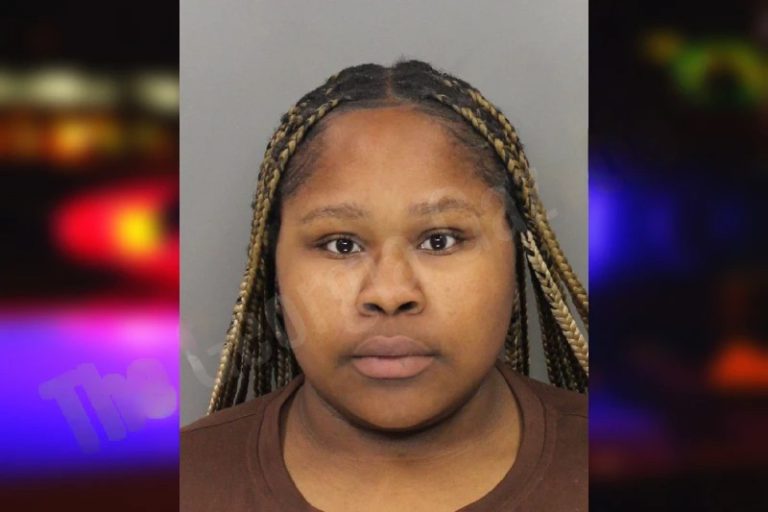 Taliah Salahuddin mugshot – White County , Georgia Taliah Salahuddin