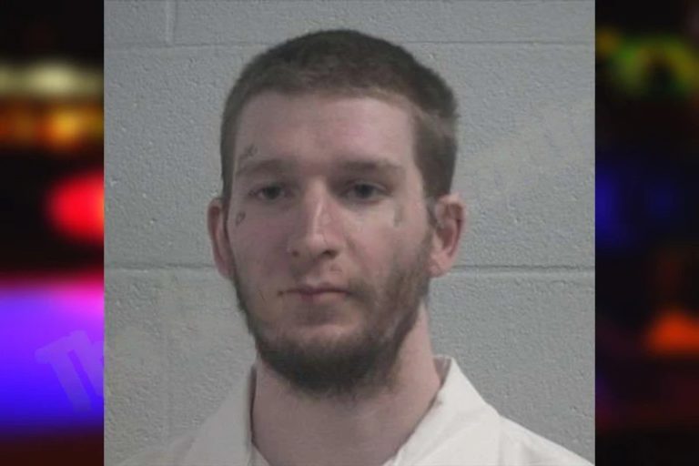 Talyor Phillips mugshot – McDuffie County , Georgia Talyor Phillips