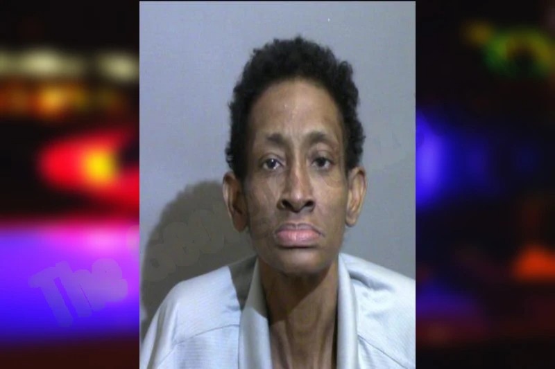 Tamara Brinkley Mugshots