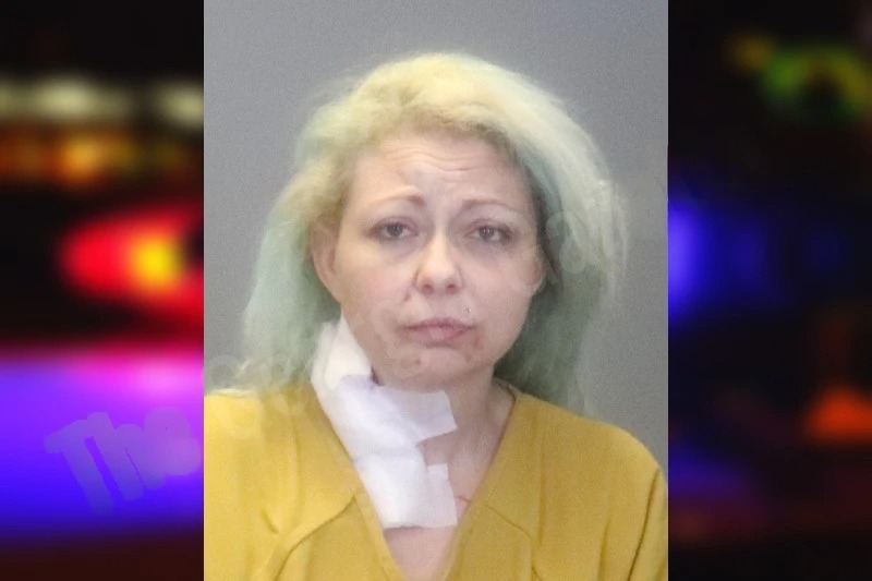 Tamara Ellner Mugshots